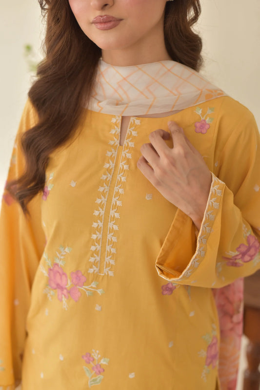 Sunaina Farshi Shalwar Embroidered 3PC Premium