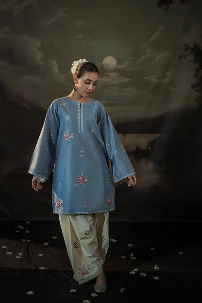 Fiza Embroidered 2PC Premium